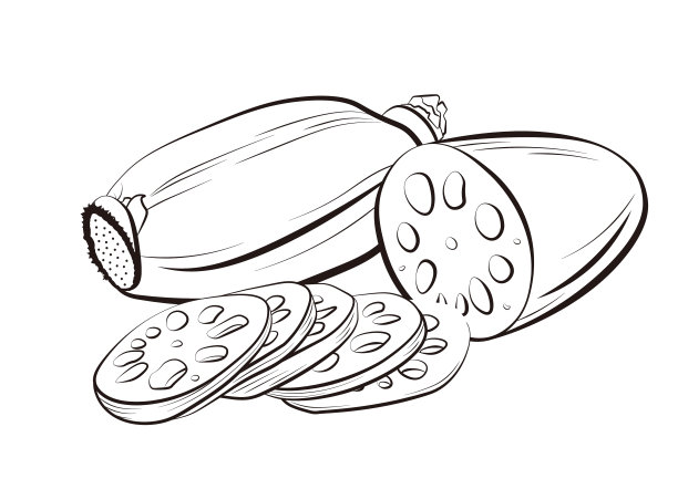 莲藕插画