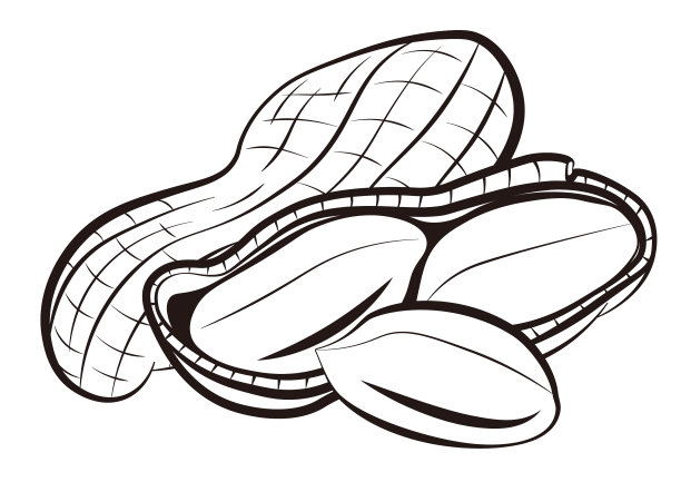 earthnut