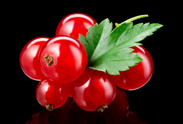 redcurrant