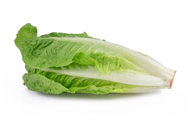 romaine