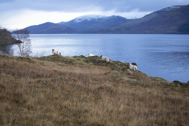 loch