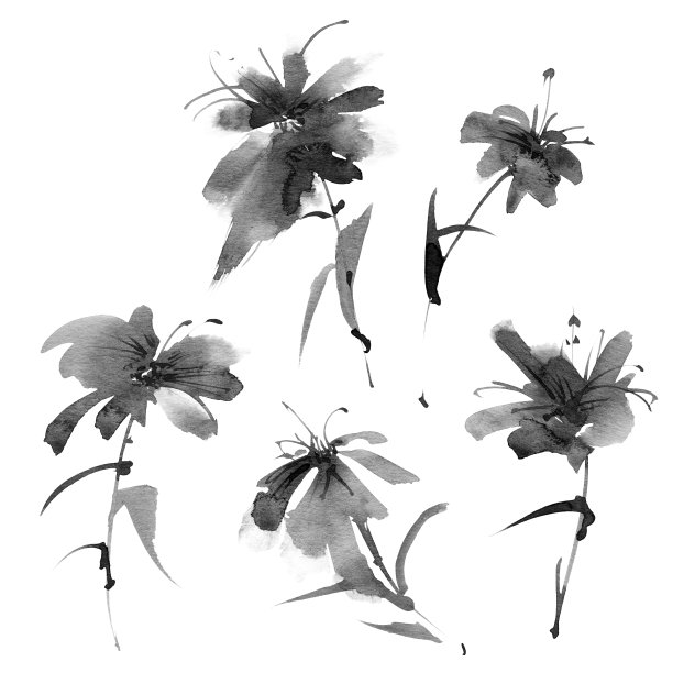 水彩画颜料,鲜花盛开,绘画作品