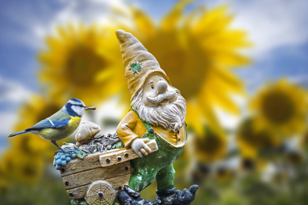 gnome