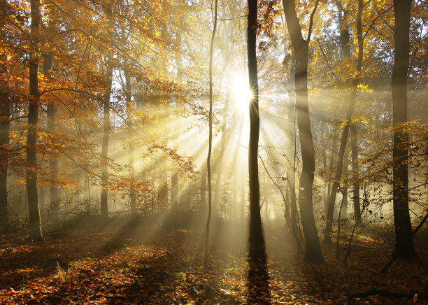 autumn
