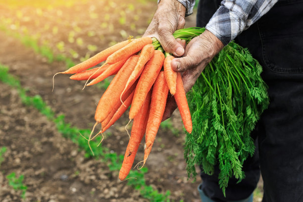 harvest