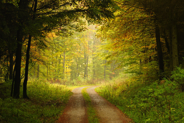trail