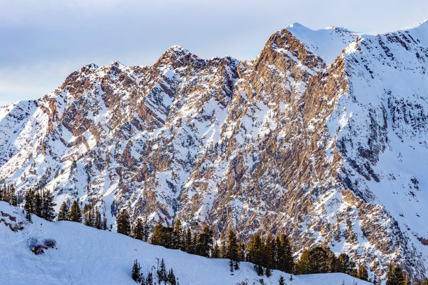 alta
