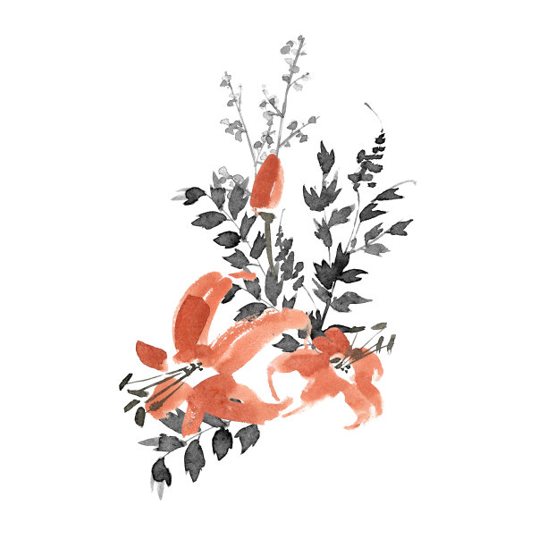 植物,百合花,草本