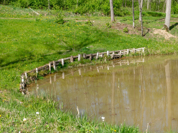 ponds