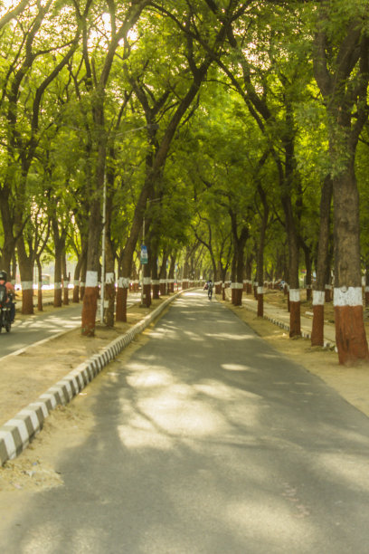 avenue