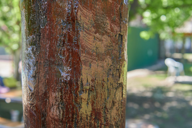 lacquer