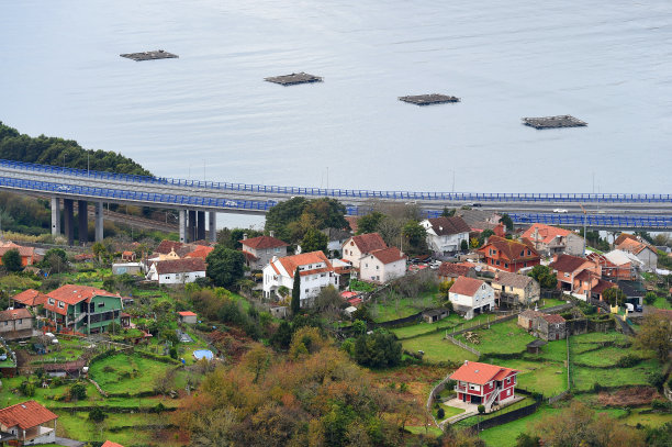 vigo