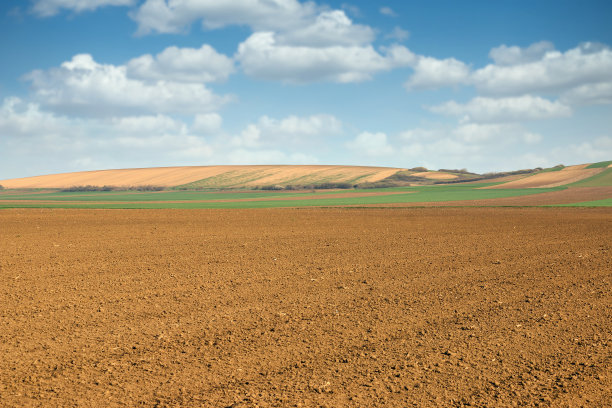 ground