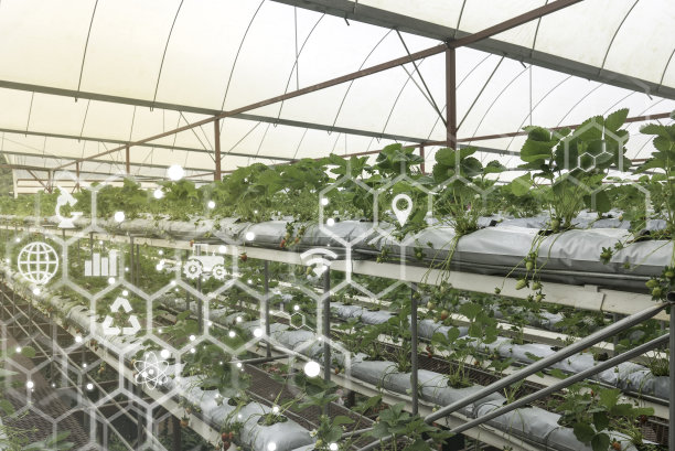 greenhouse