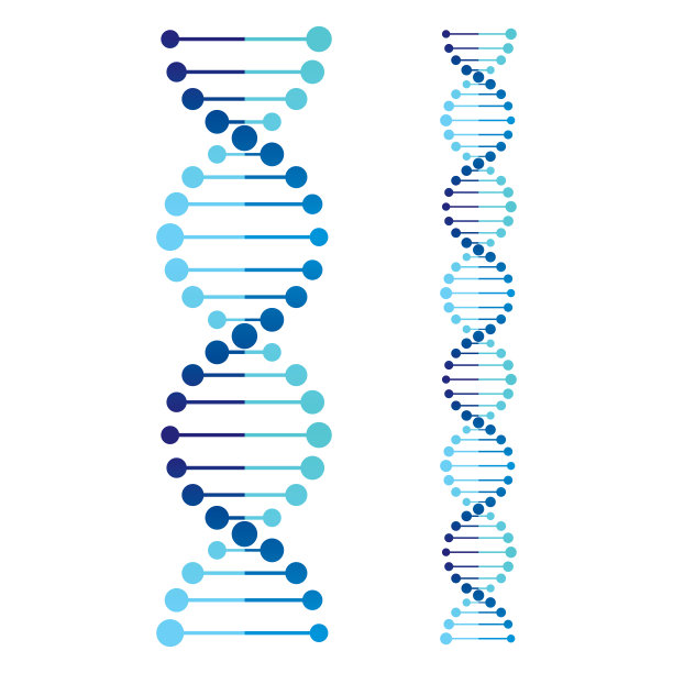 gene