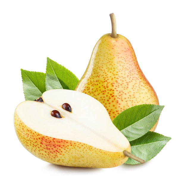 pyrus