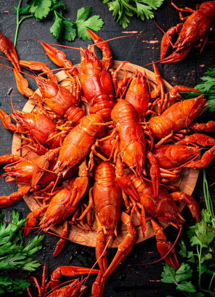 mudbugs