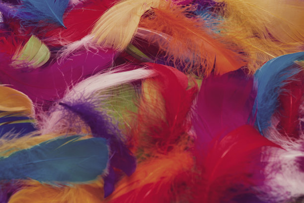 preen