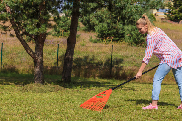 rake
