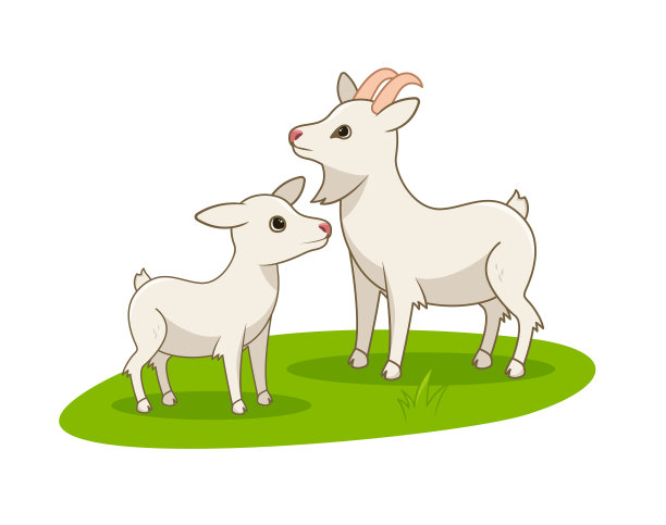 sheep