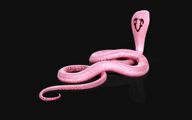 adders