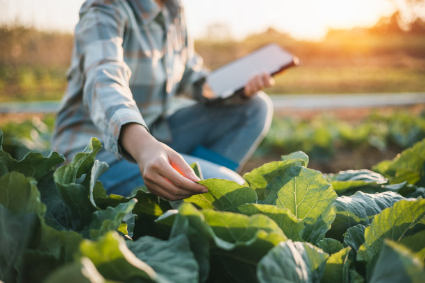 agricultural