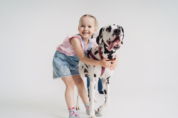 dalmatian