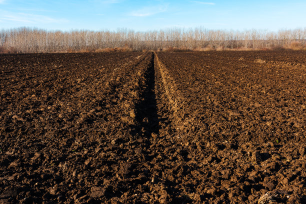 ground