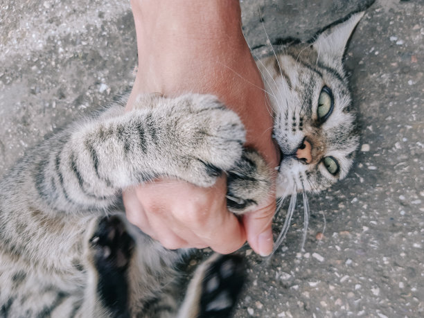 furious