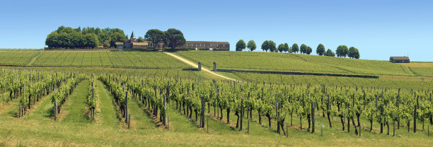 bordeaux