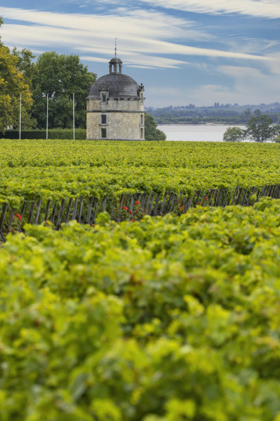 bordeaux