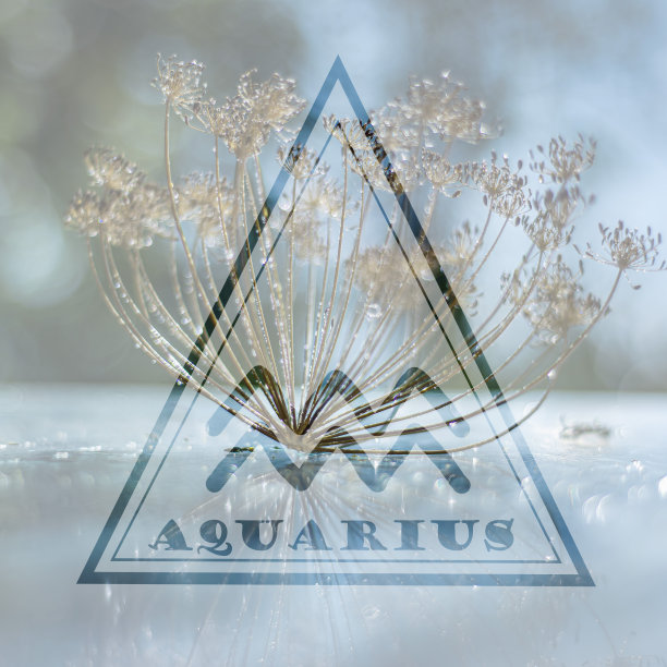 aquarius