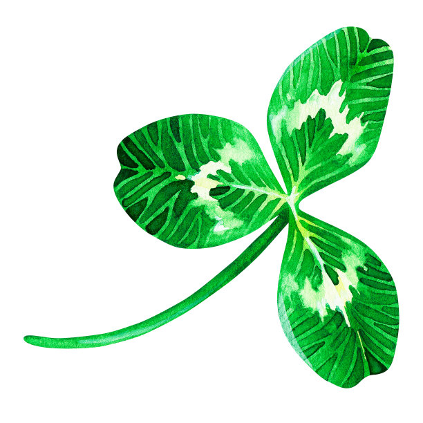 shamrock