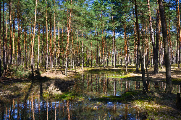backwater