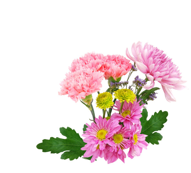 marguerite