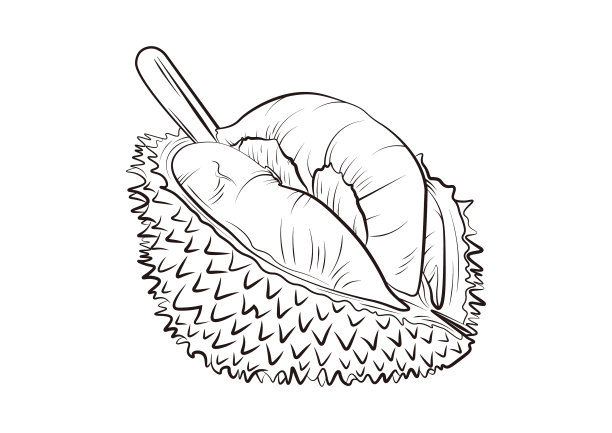durian