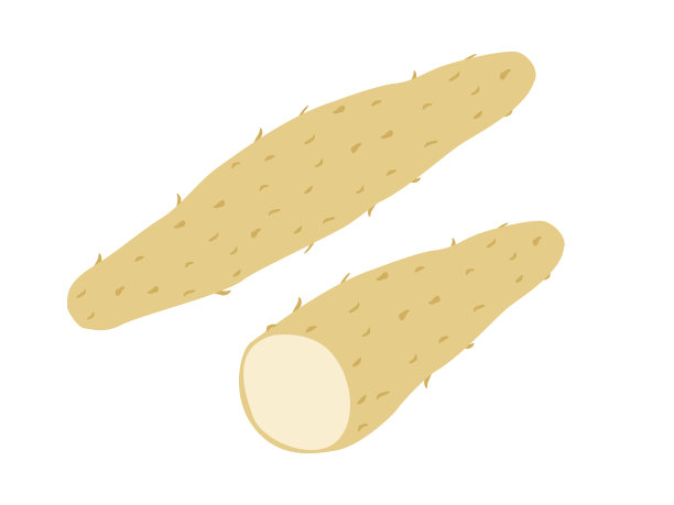 山药插画