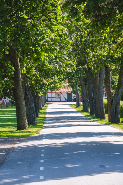avenue