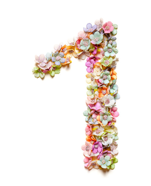 no1logo