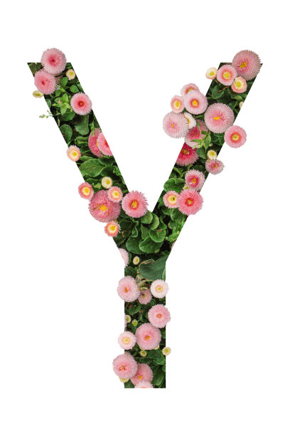 字母花卉组合
