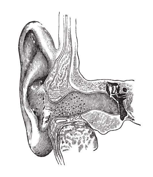 incus