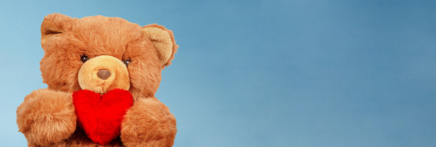 teddy