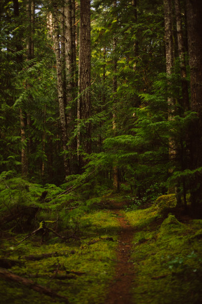 pathway