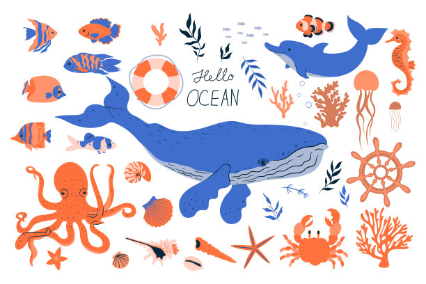 海洋生物插画