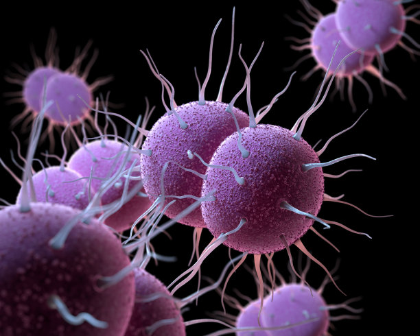 std