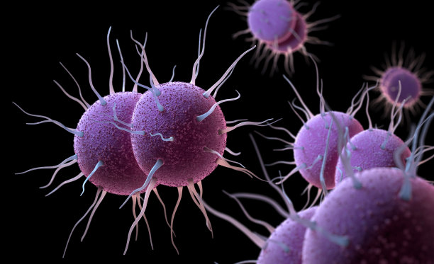 std