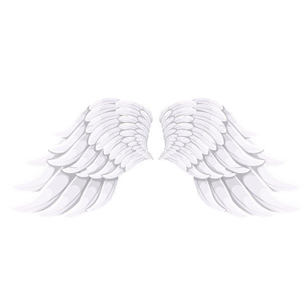 wings