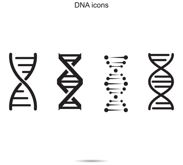 gene