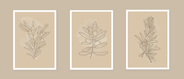 铅笔画,植物学,草图