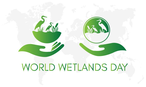 wetland